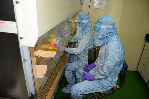 COVID-19 Kit Testing Laboratory 